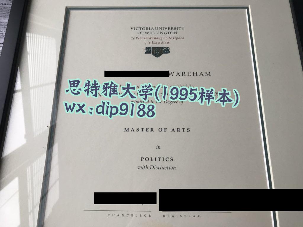 思特雅大学学历1995毕业证样本图