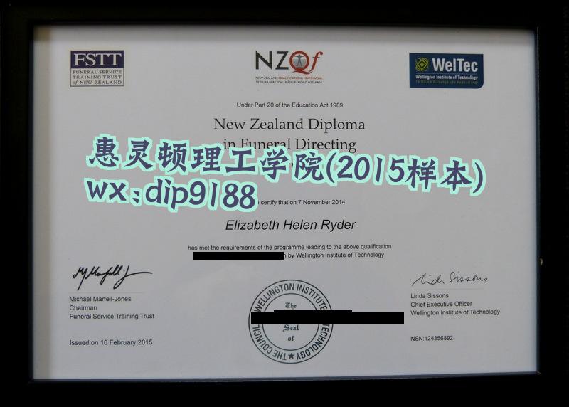 惠灵顿理工学院学历2015毕业证样本图