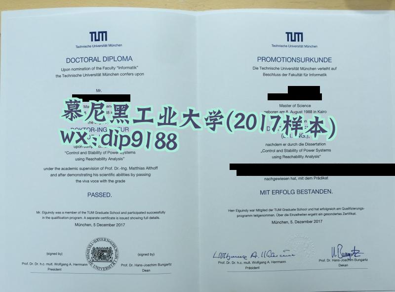 慕尼黑工业大学学历2017毕业证样本图