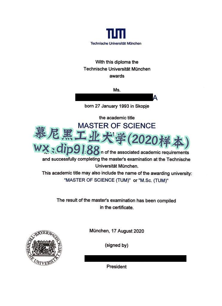 慕尼黑工业大学学历2020毕业证样本图