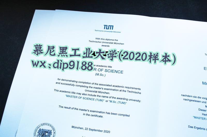 慕尼黑工业大学学历2020毕业证样本图