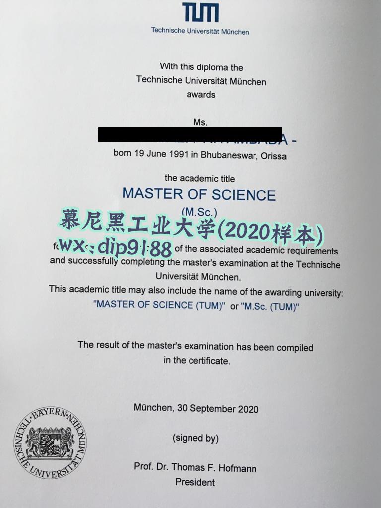 慕尼黑工业大学学历2020毕业证样本图