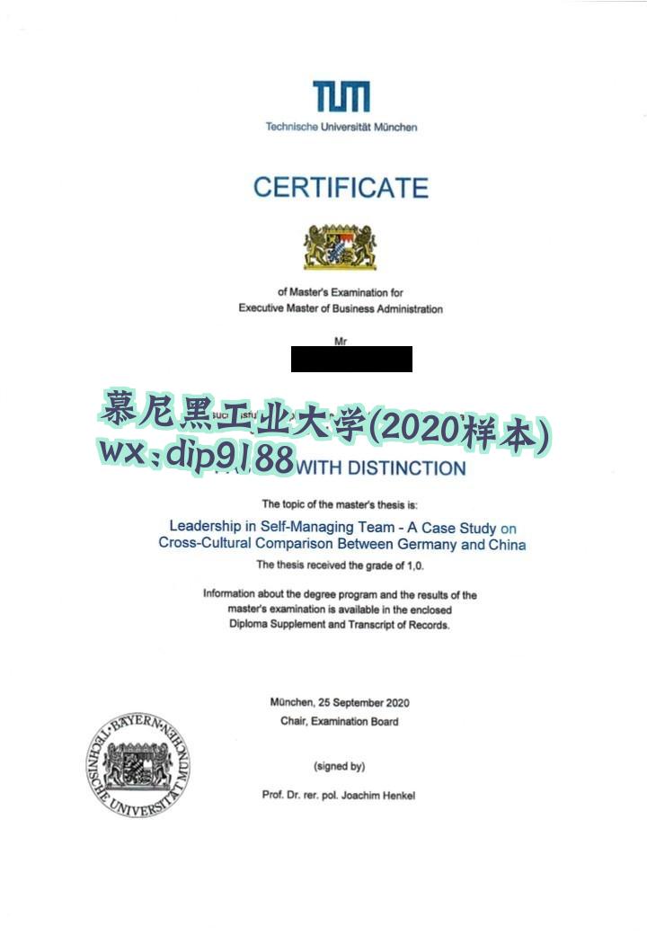 慕尼黑工业大学学历2020毕业证样本图