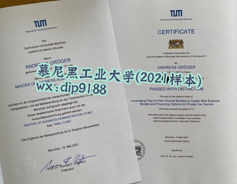 慕尼黑工业大学学历2021毕业证样本图