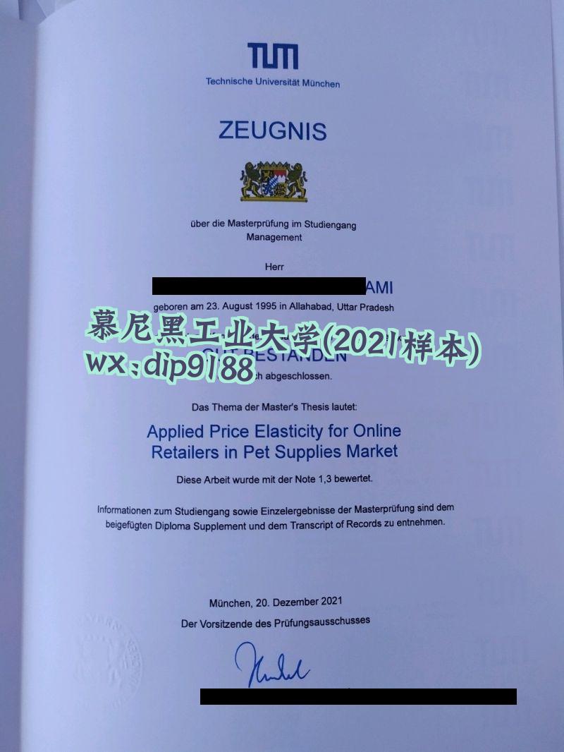 慕尼黑工业大学学历2021毕业证样本图