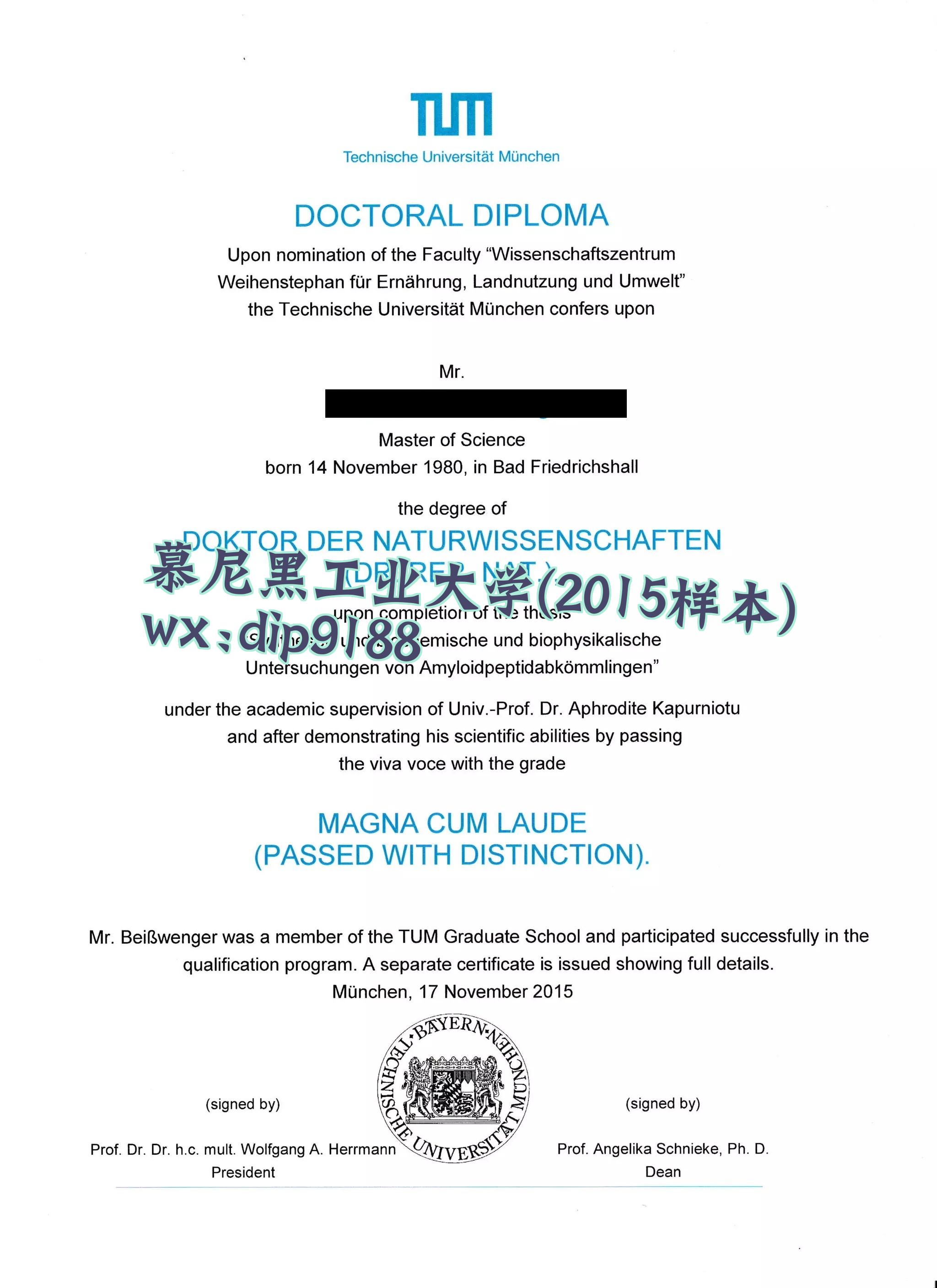 慕尼黑工业大学学历2015毕业证样本图