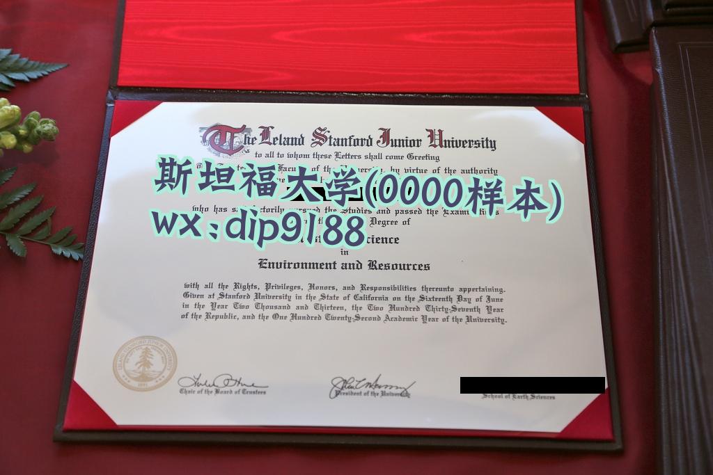 斯坦福大学学历0000毕业证样本图