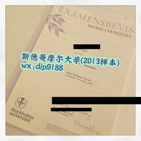 斯德哥摩尔大学学历2013毕业证样本图