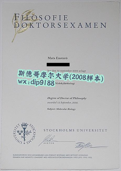 斯德哥摩尔大学学历2008毕业证样本图