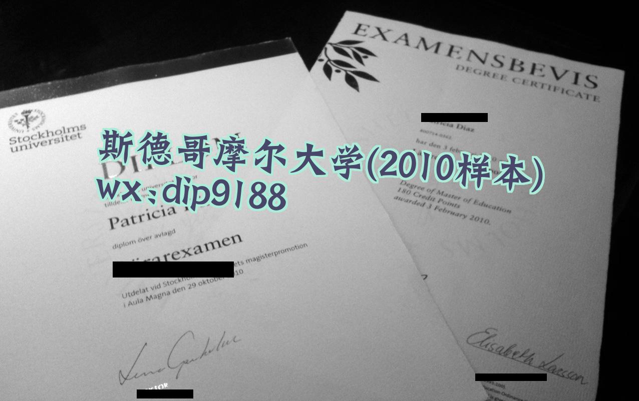 斯德哥摩尔大学学历2010毕业证样本图