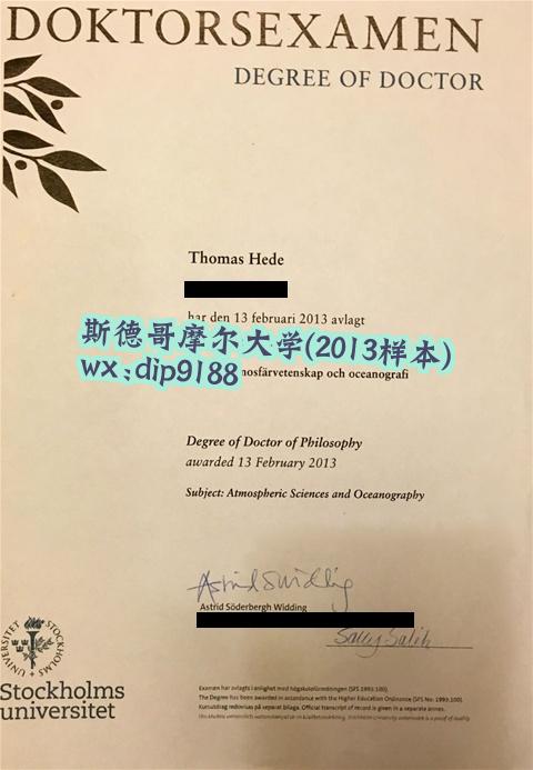 斯德哥摩尔大学学历2013毕业证样本图