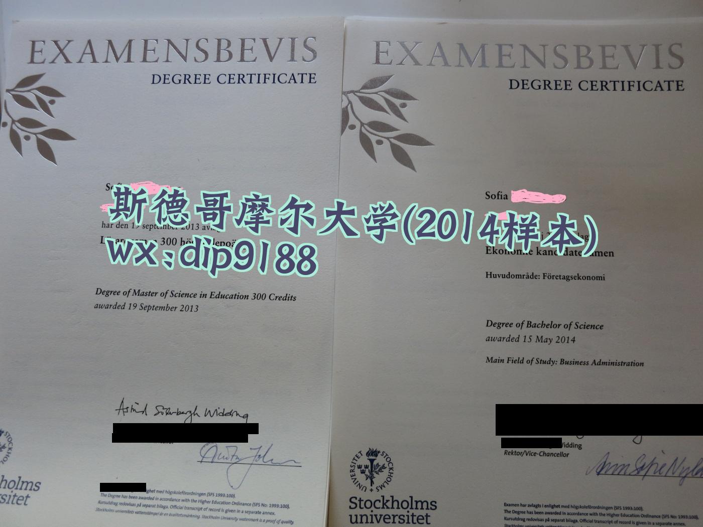 斯德哥摩尔大学学历2014毕业证样本图