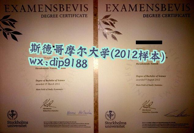 斯德哥摩尔大学学历2012毕业证样本图