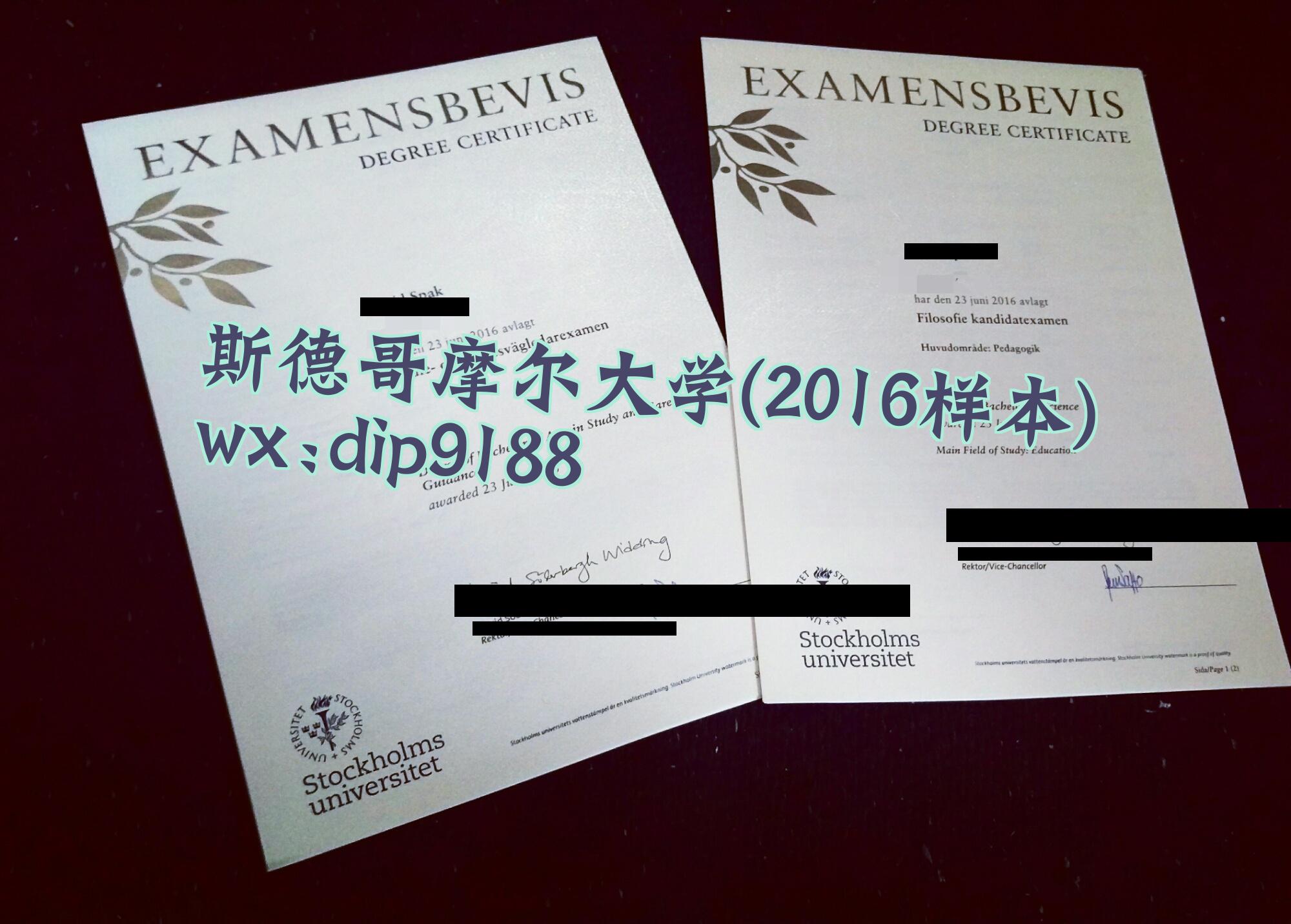 斯德哥摩尔大学学历2016毕业证样本图