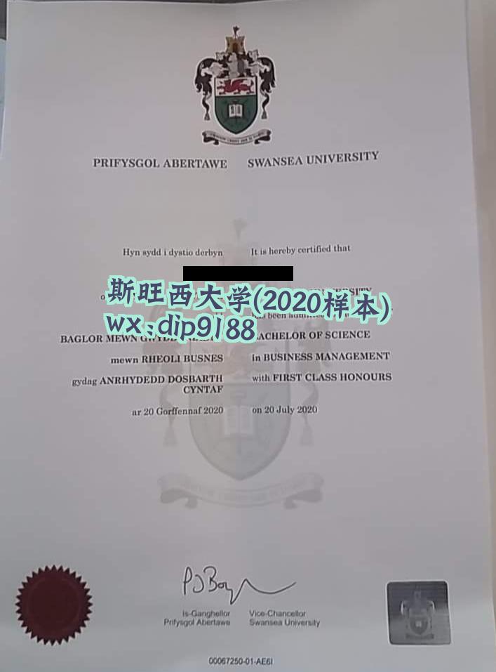 斯旺西大学学历2020毕业证样本图