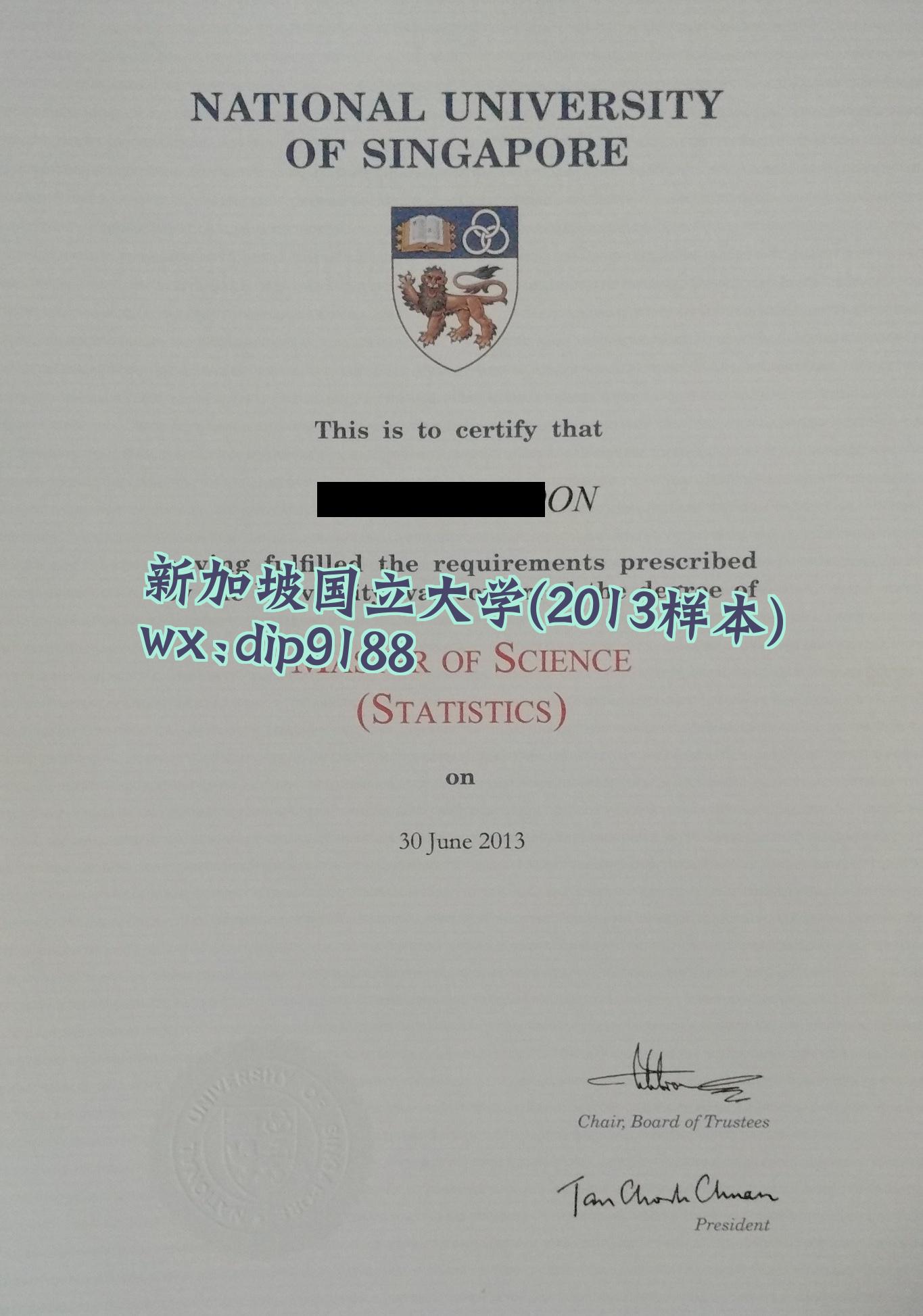 新加坡国立大学学历2013毕业证样本图