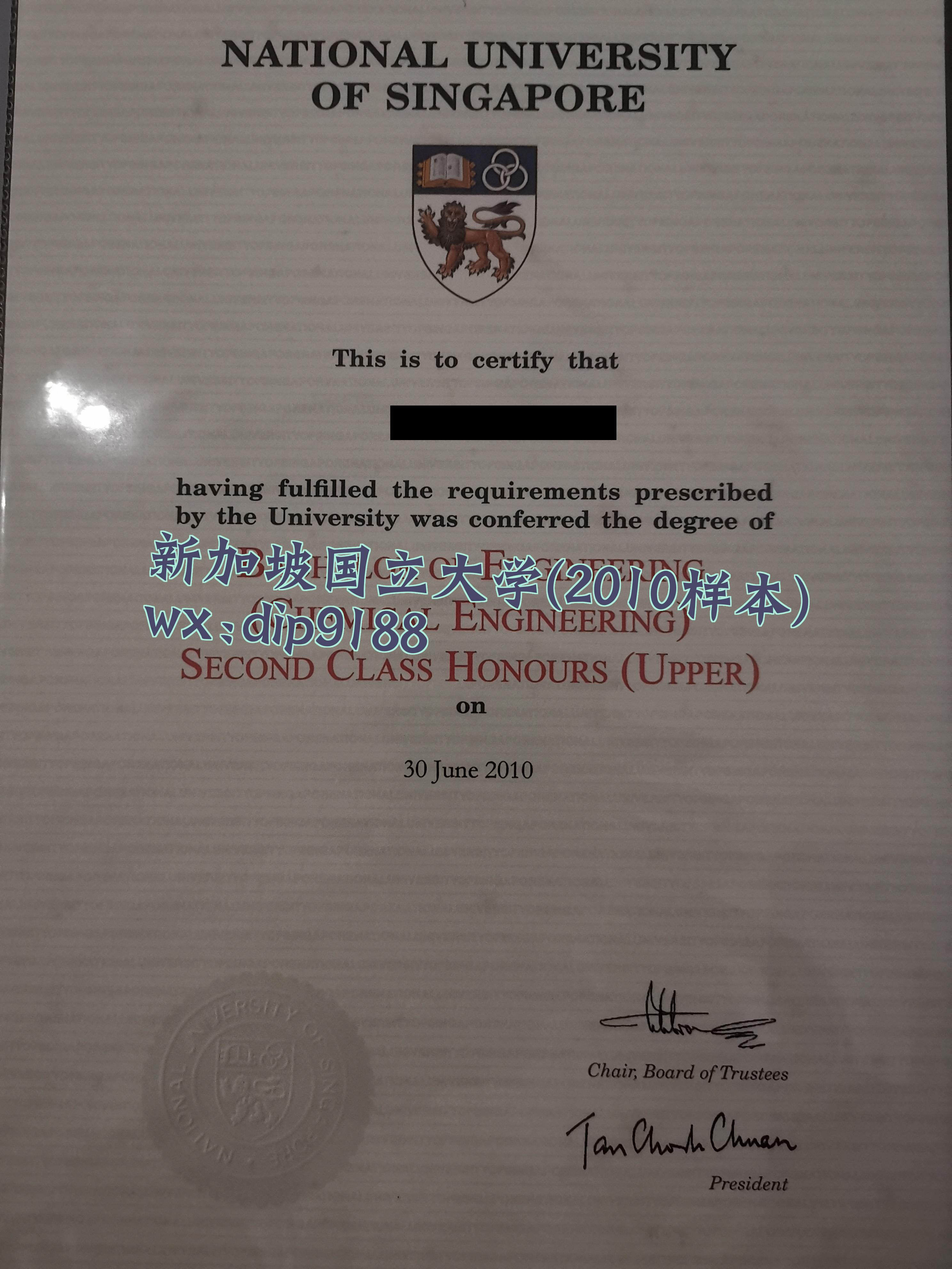 新加坡国立大学学历2010毕业证样本图