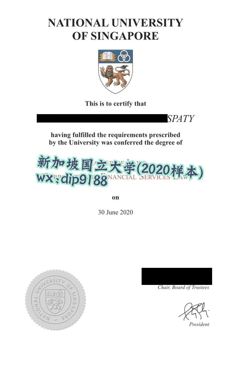 新加坡国立大学学历2020毕业证样本图
