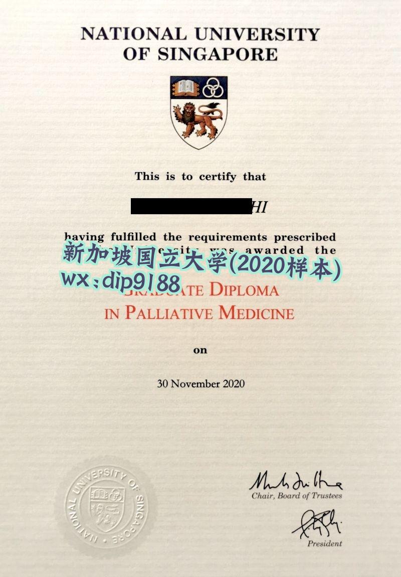 新加坡国立大学学历2020毕业证样本图