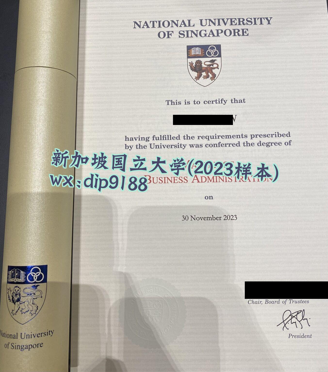 新加坡国立大学学历2023毕业证样本图