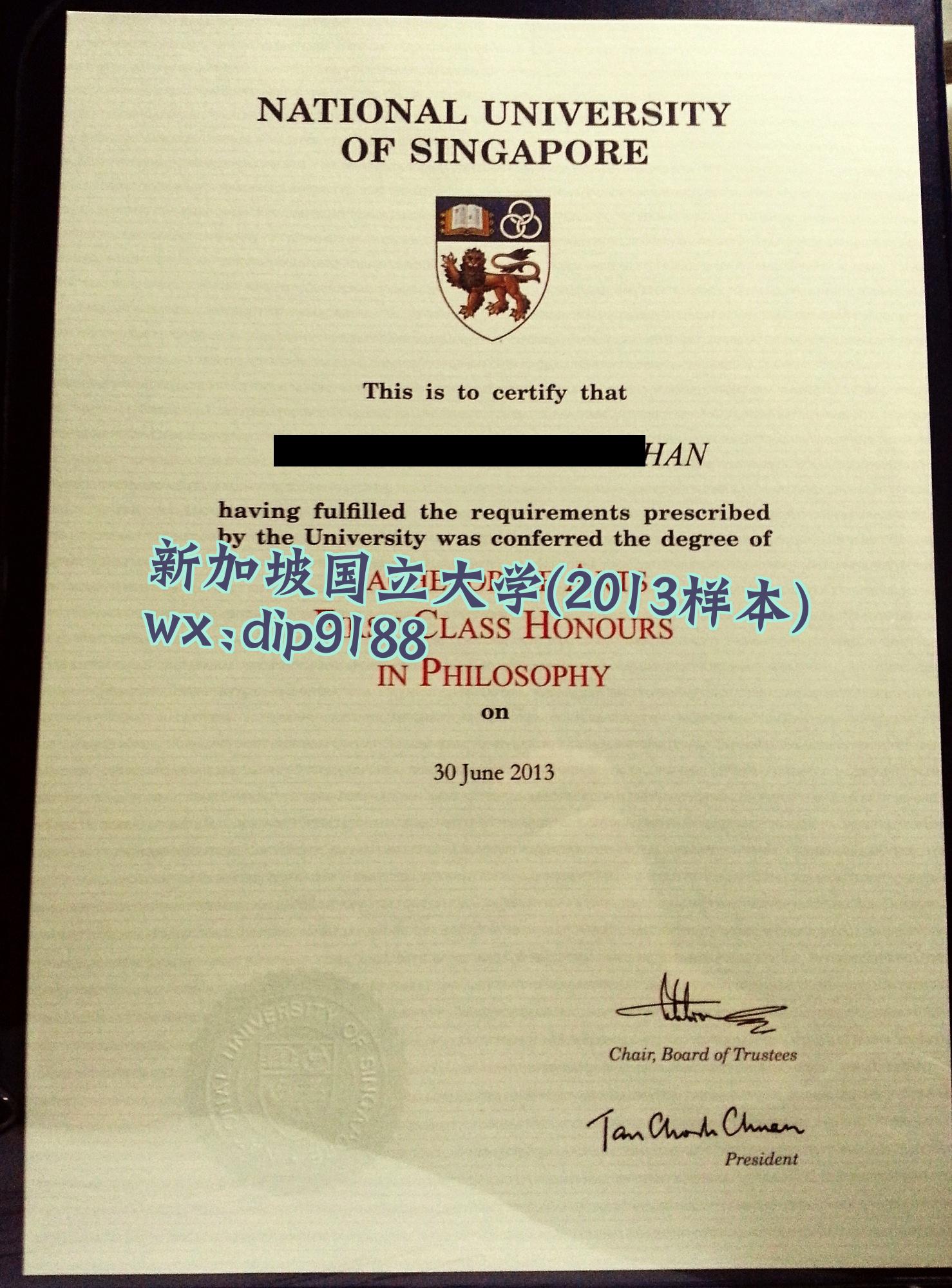 新加坡国立大学学历2013毕业证样本图