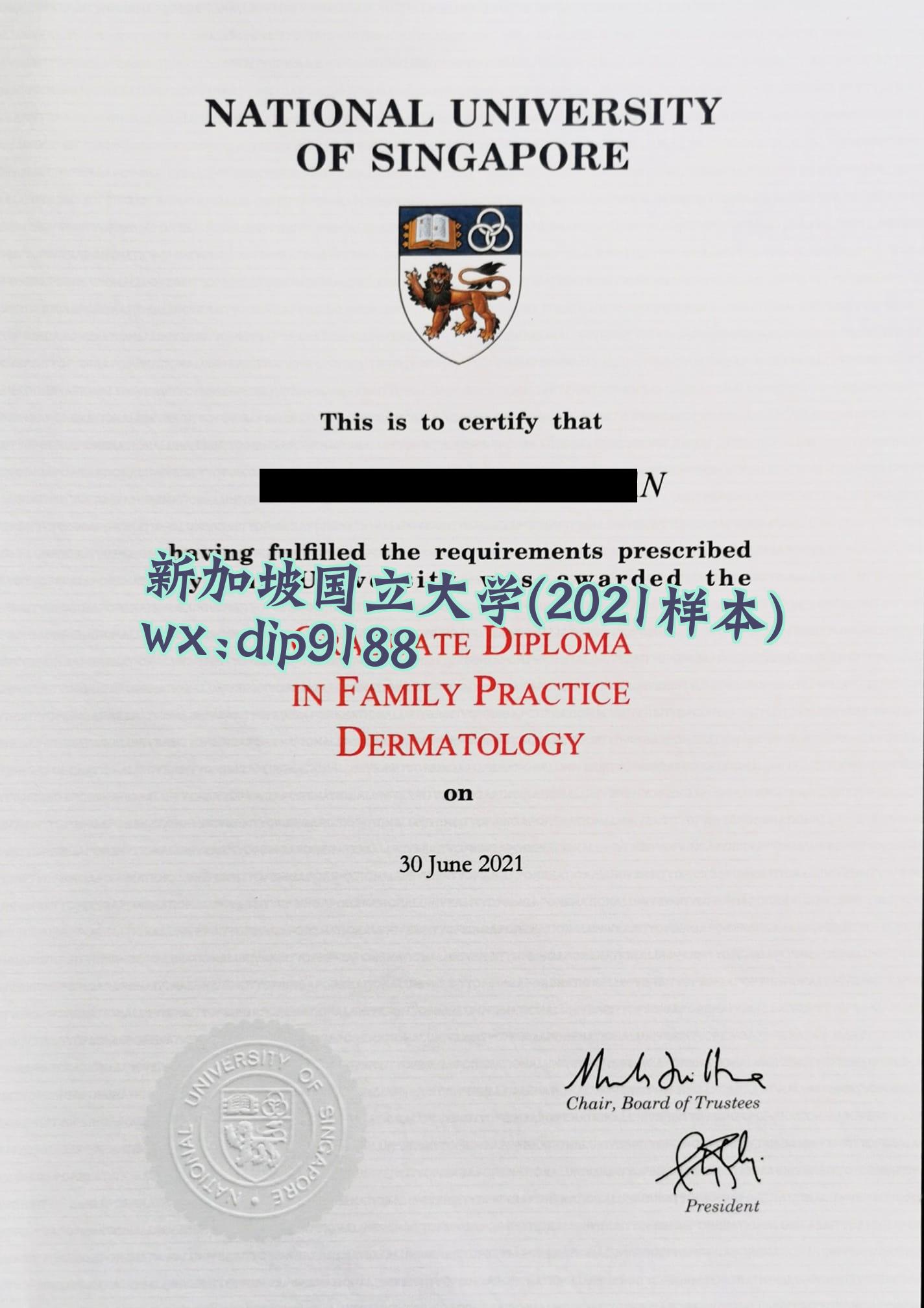 新加坡国立大学学历2021毕业证样本图