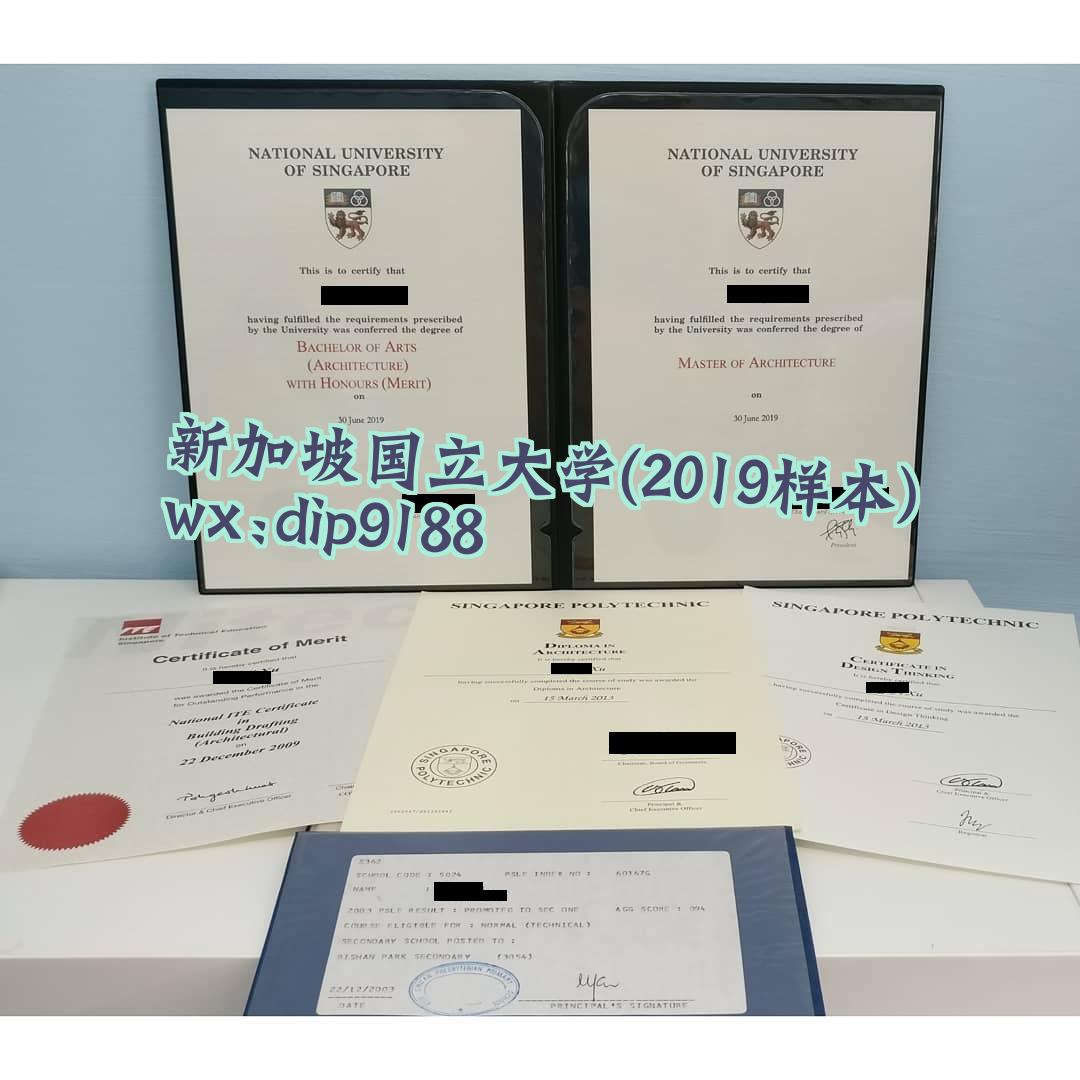 新加坡国立大学学历2019毕业证样本图