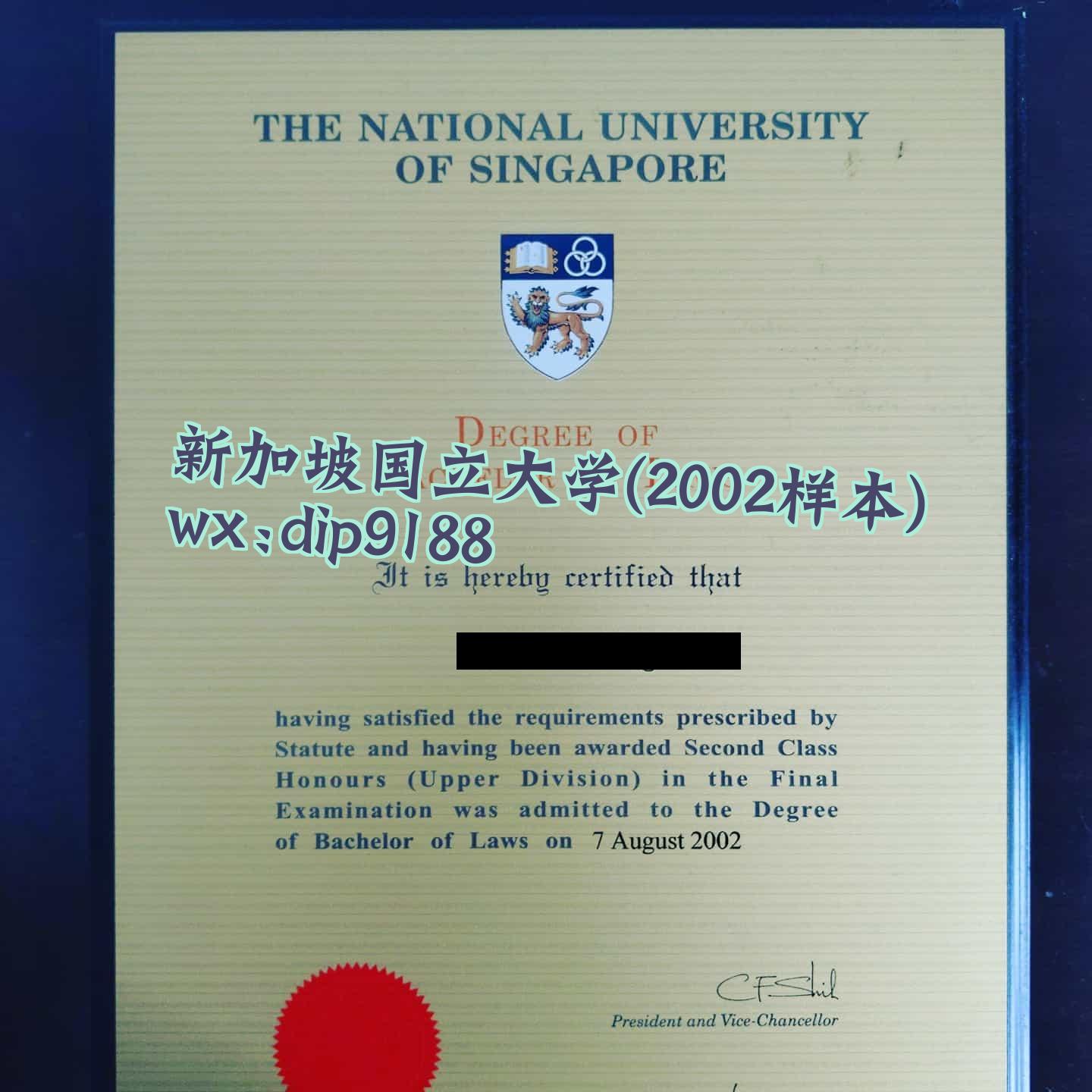 新加坡国立大学学历2002毕业证样本图