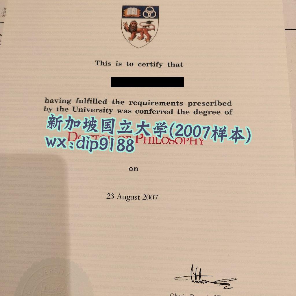 新加坡国立大学学历2007毕业证样本图