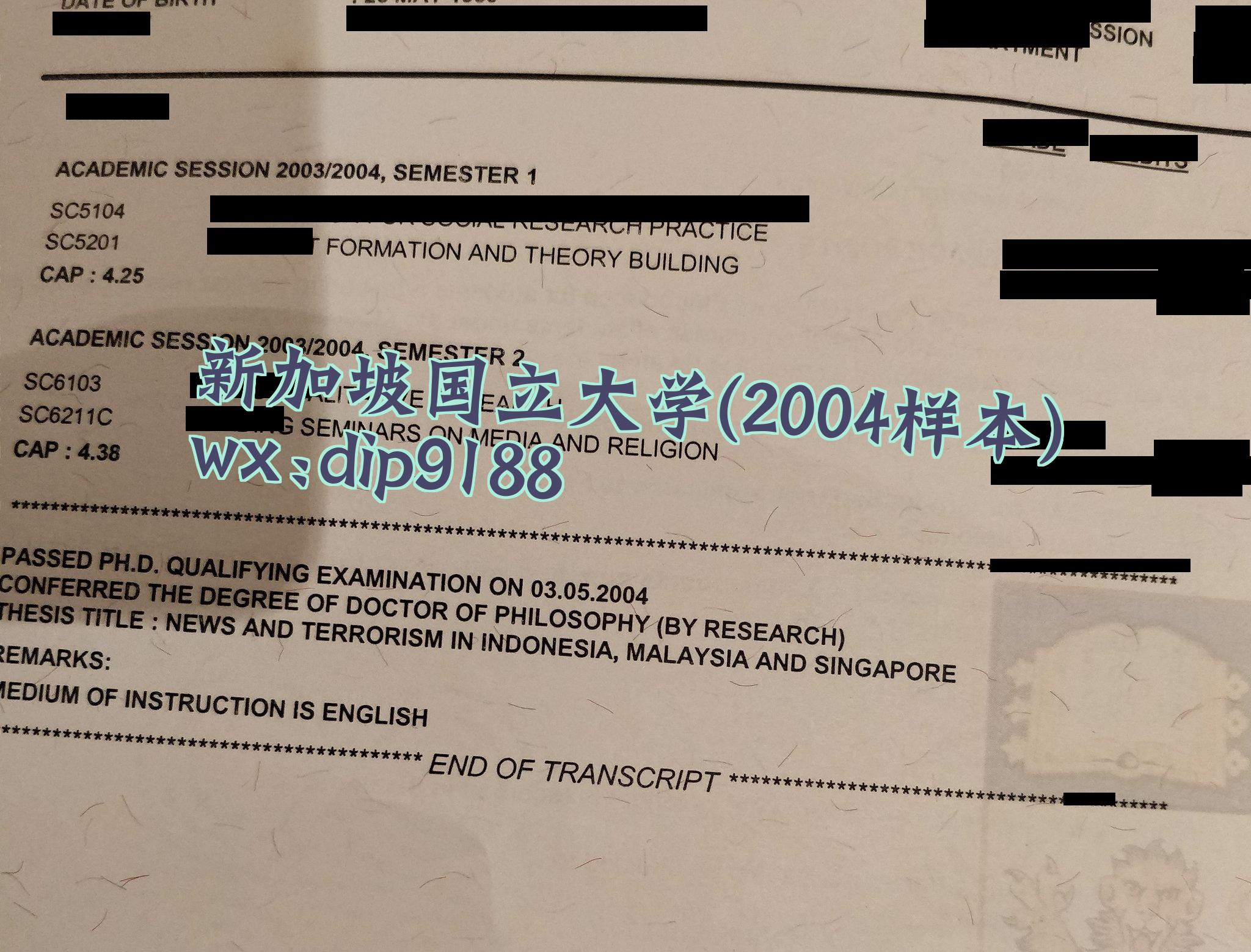新加坡国立大学学历2004毕业证样本图