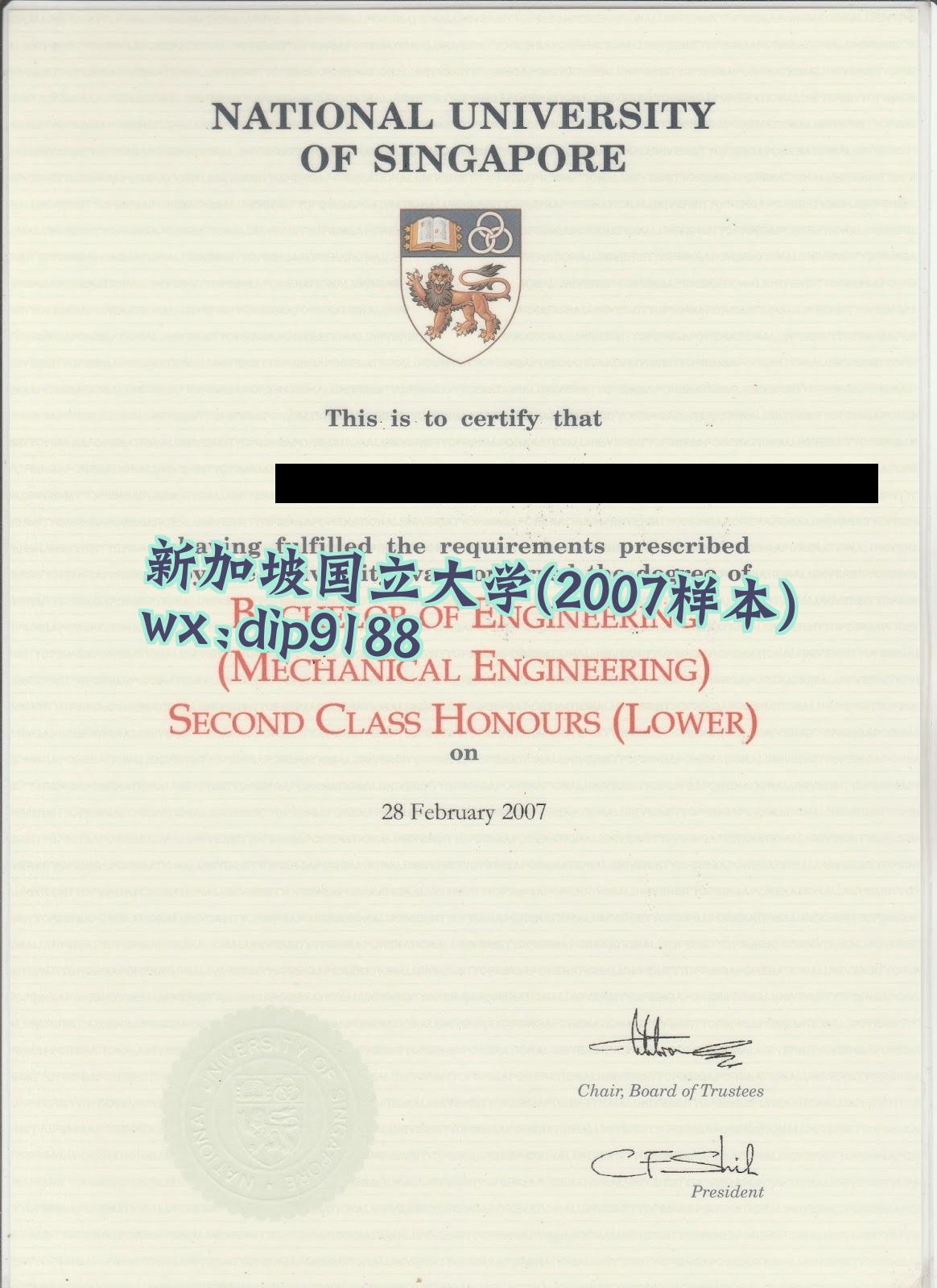 新加坡国立大学学历2007毕业证样本图