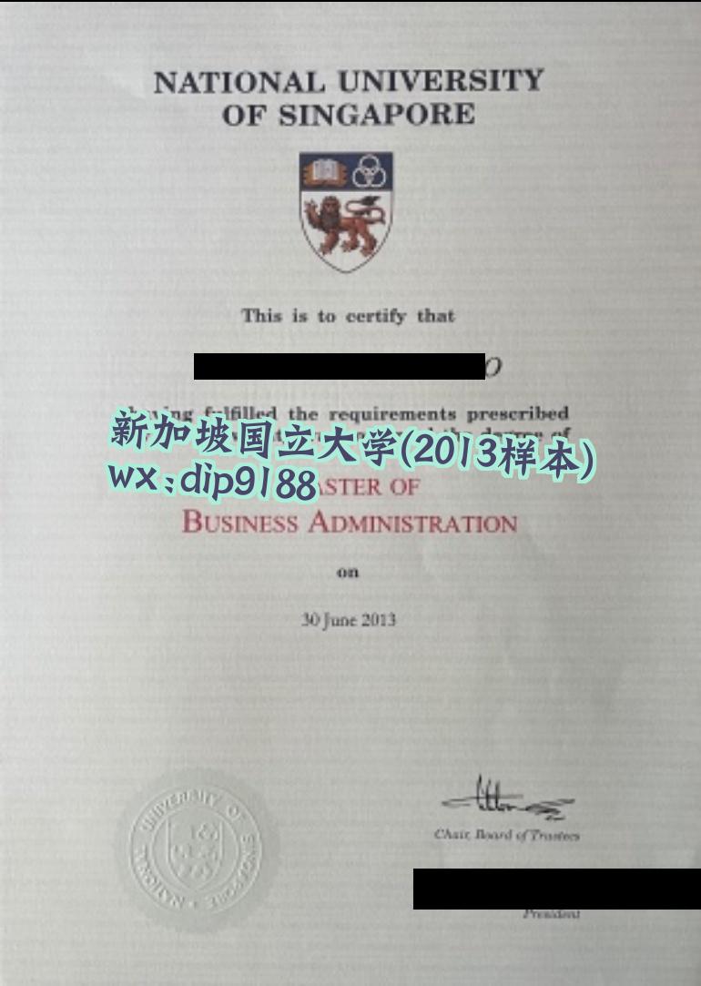 新加坡国立大学学历2013毕业证样本图