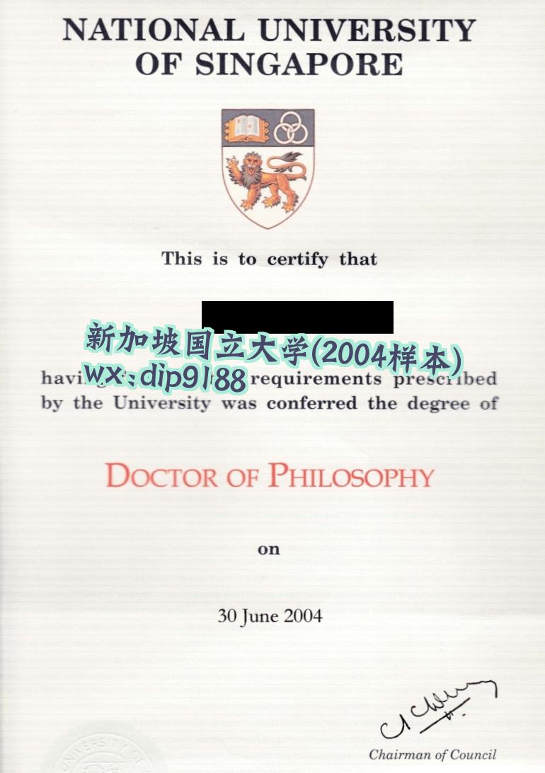 新加坡国立大学学历2004毕业证样本图