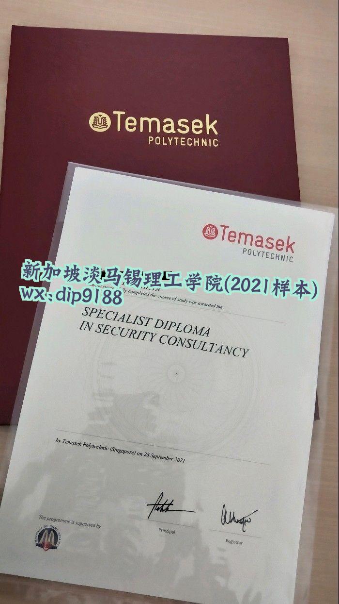 新加坡淡马锡理工学院学历2021毕业证样本图