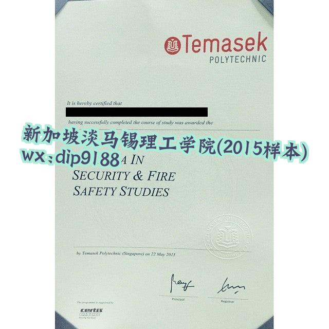 新加坡淡马锡理工学院学历2015毕业证样本图