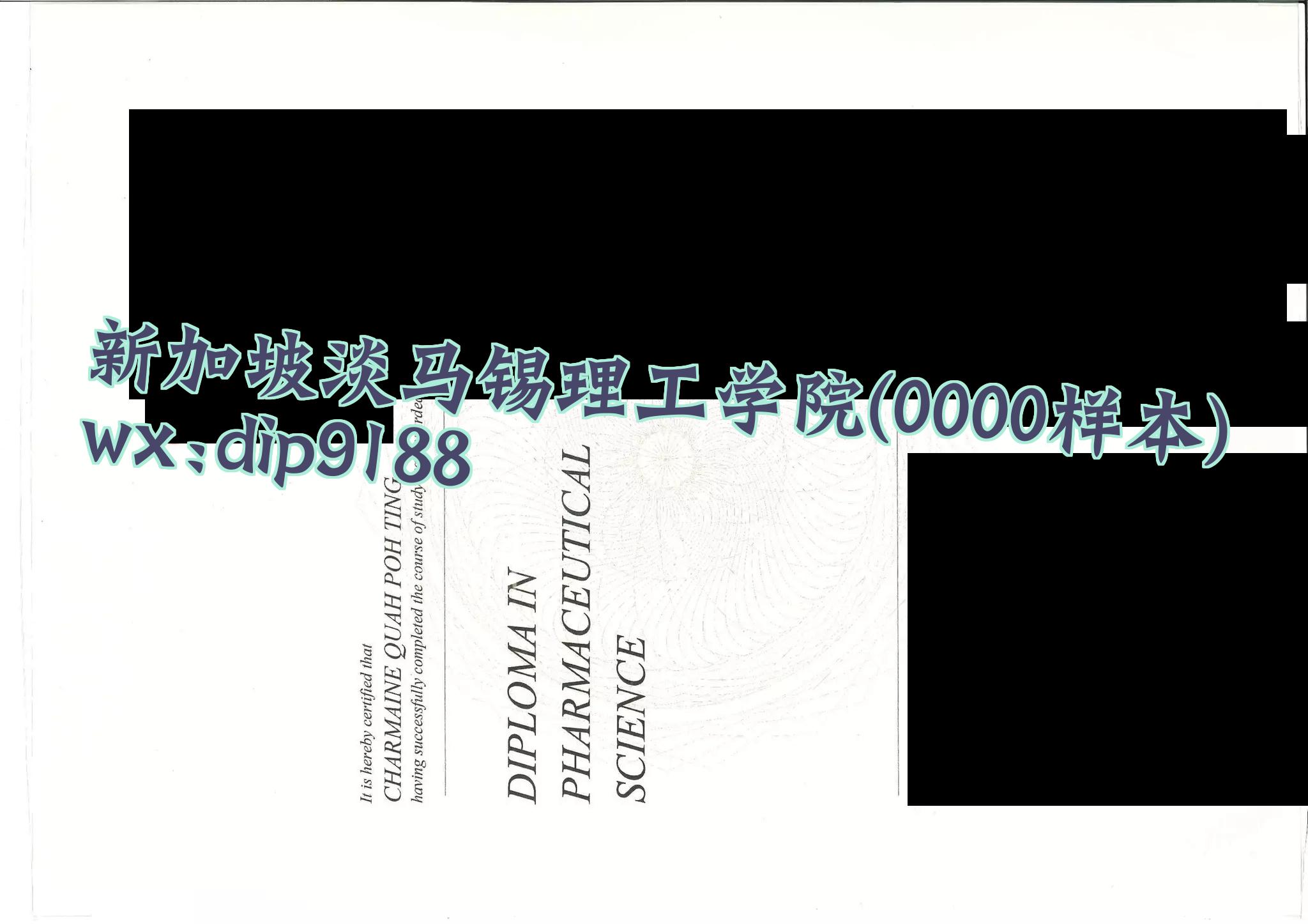 新加坡淡马锡理工学院学历0000毕业证样本图
