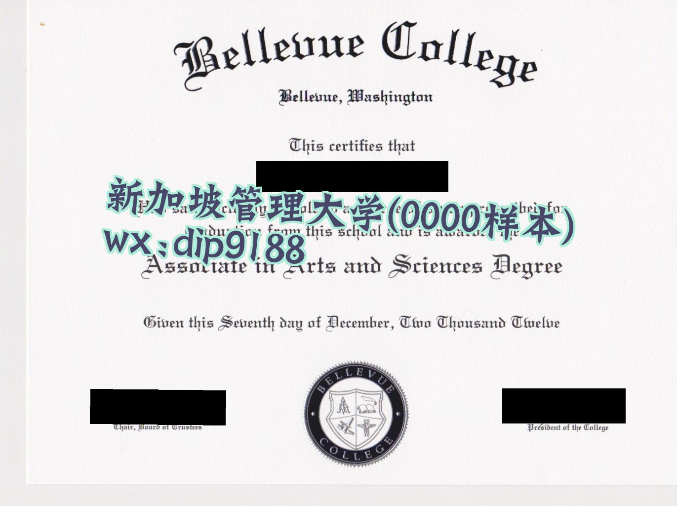 新加坡管理大学学历0000毕业证样本图