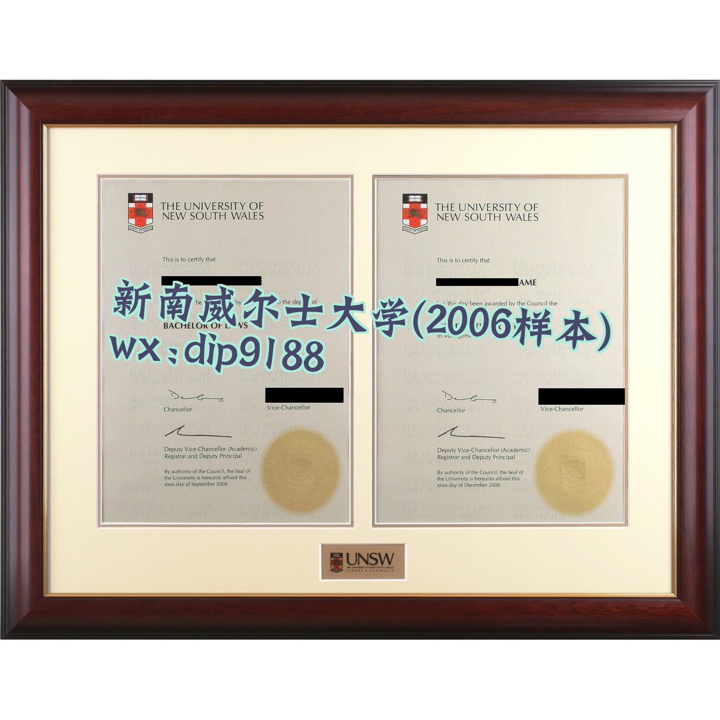 新南威尔士大学学历2006毕业证样本图