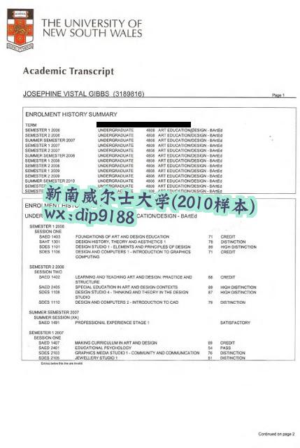 新南威尔士大学学历2010毕业证样本图
