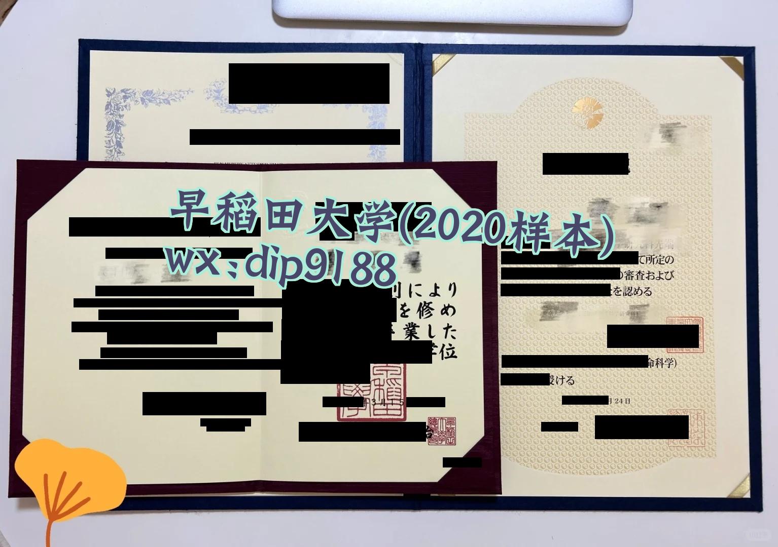 早稻田大学学历2020毕业证样本图