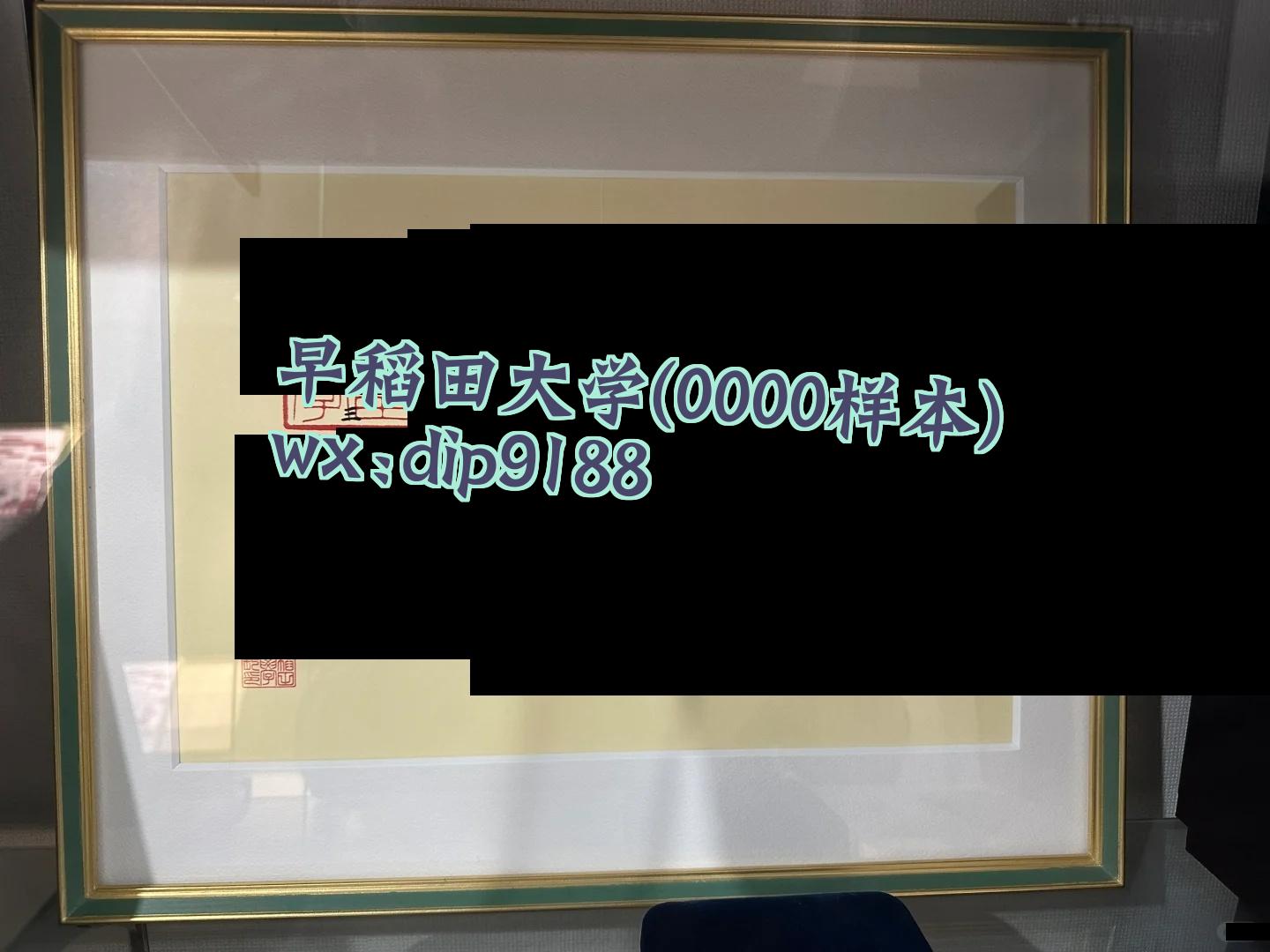 早稻田大学学历0000毕业证样本图