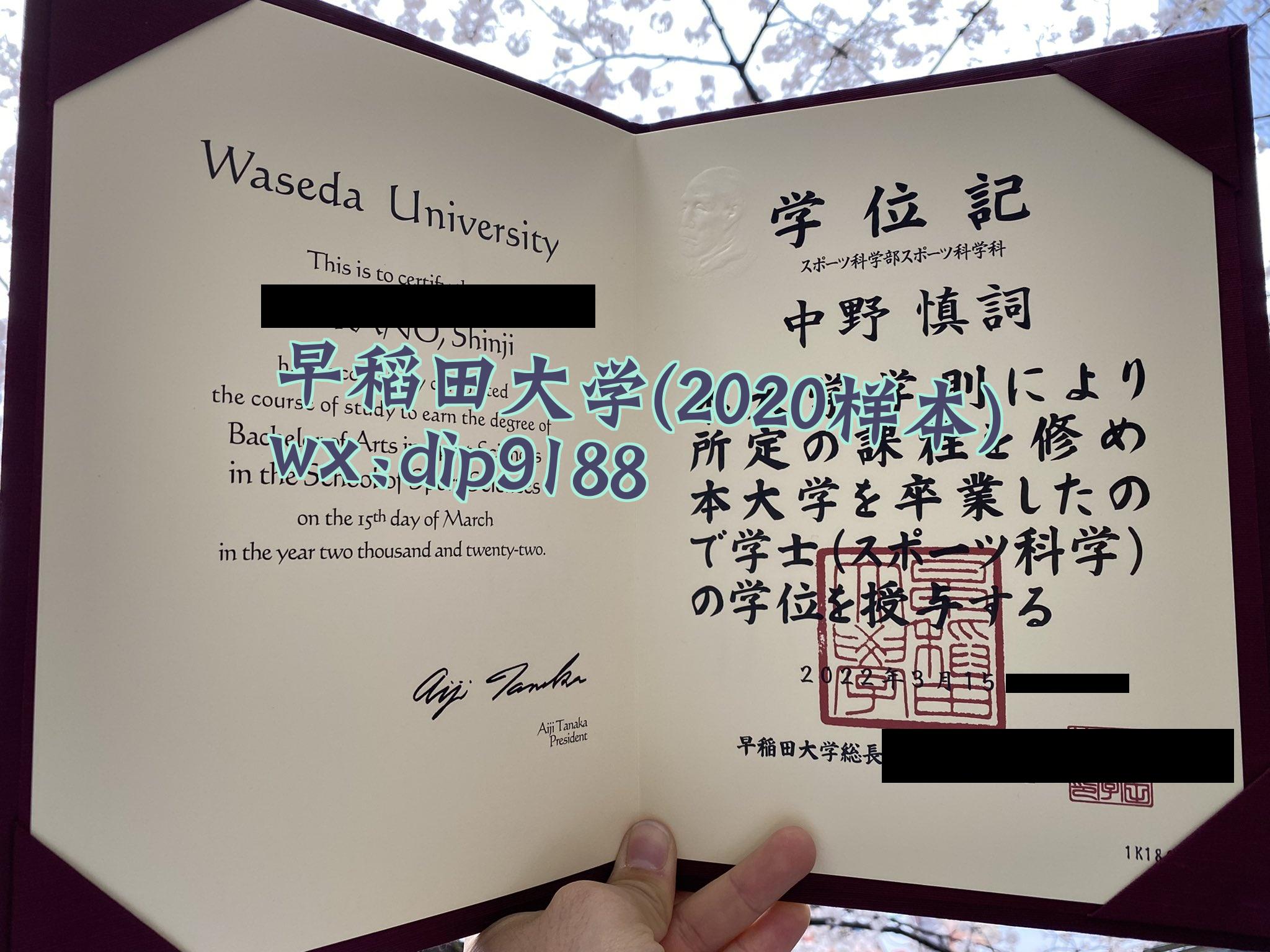 早稻田大学学历2020毕业证样本图
