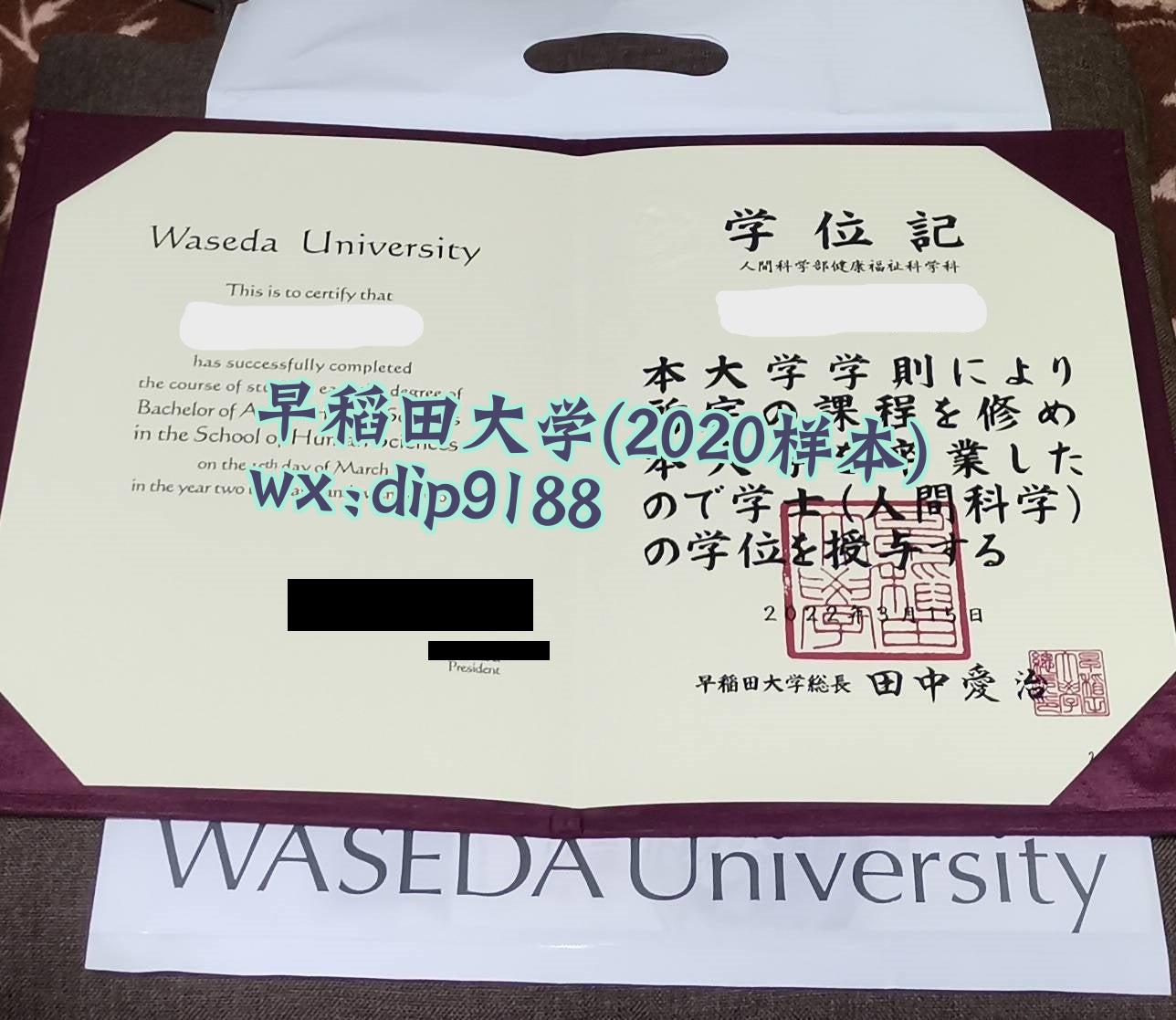 早稻田大学学历2020毕业证样本图