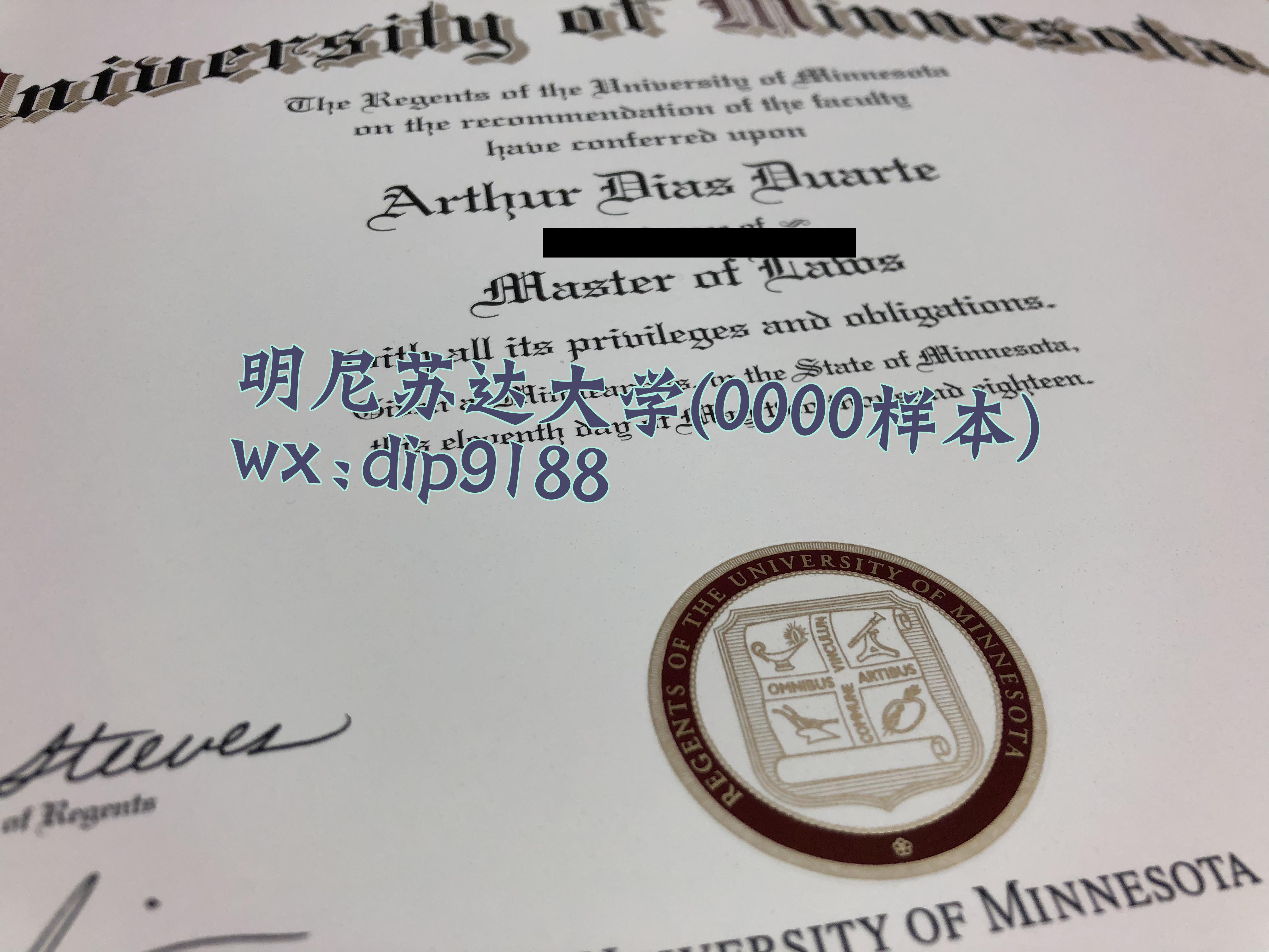 明尼苏达大学学历0000毕业证样本图