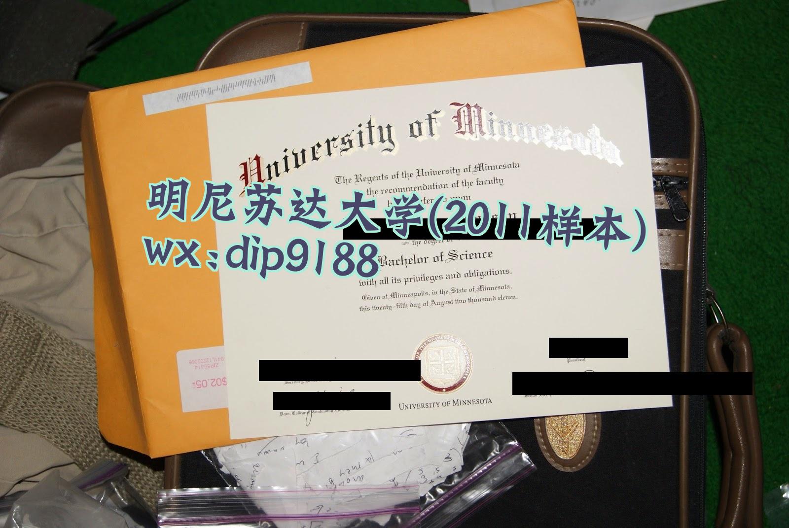 明尼苏达大学学历2011毕业证样本图