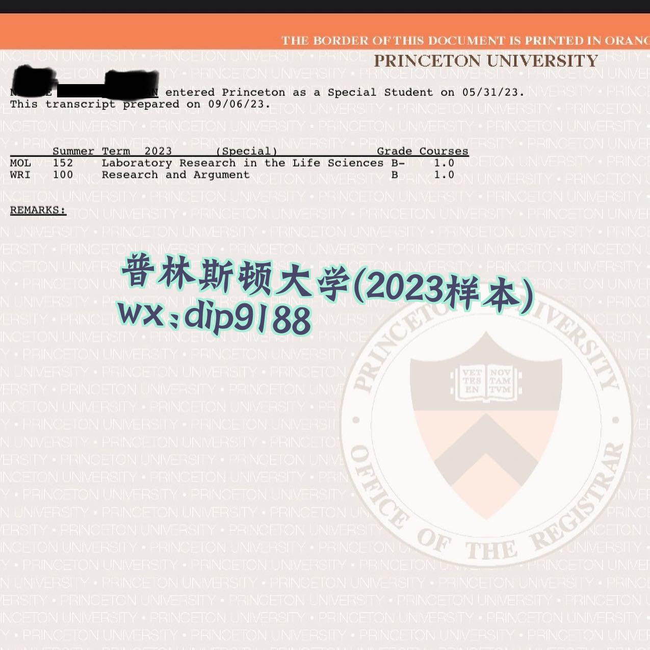 普林斯顿大学学历2023毕业证样本图