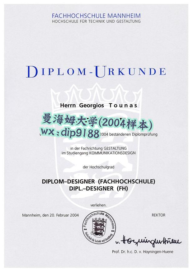 曼海姆大学学历2004毕业证样本图