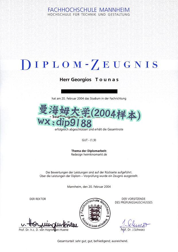 曼海姆大学学历2004毕业证样本图