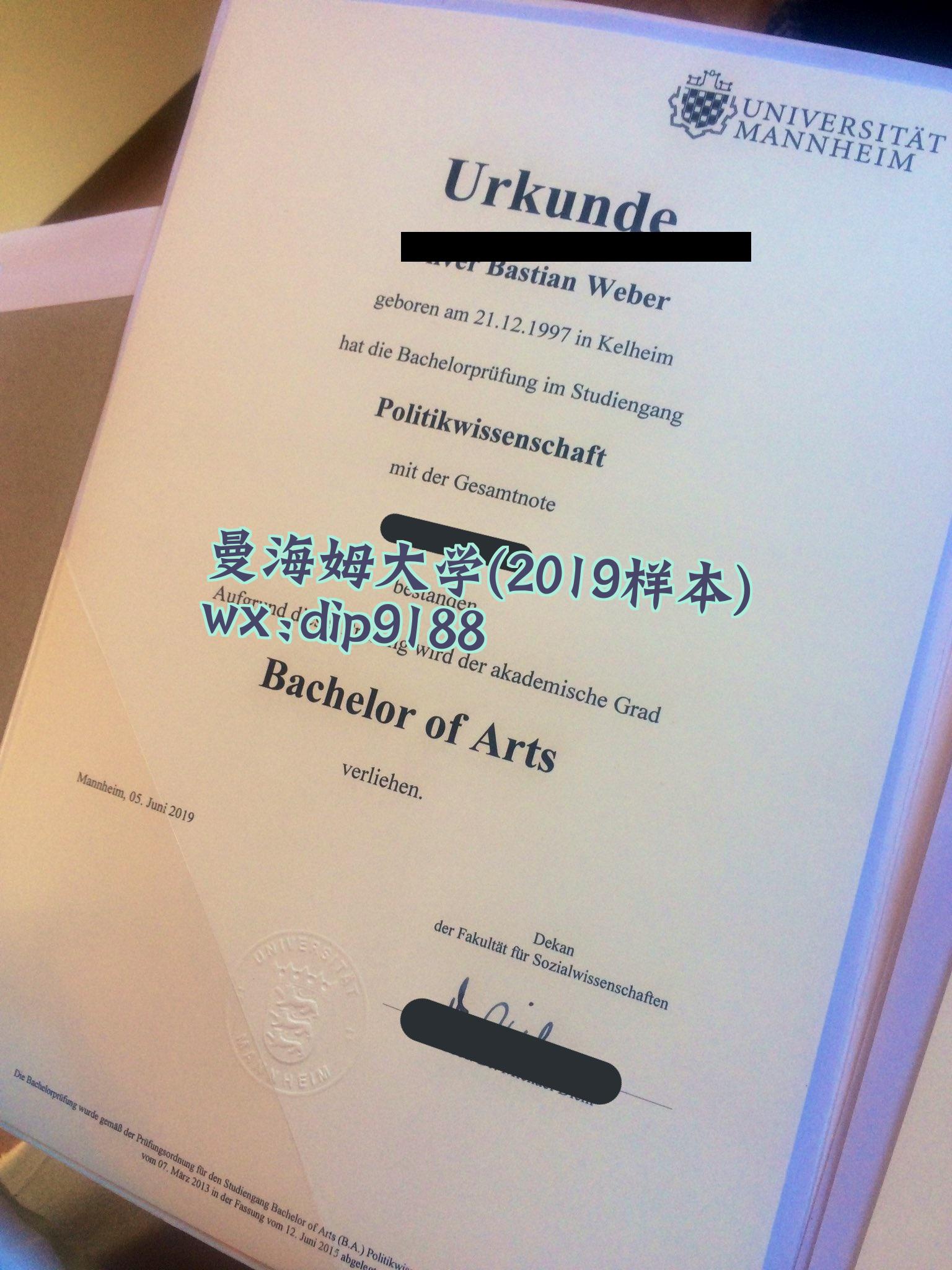 曼海姆大学学历2019毕业证样本图