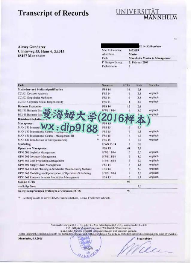 曼海姆大学学历2016毕业证样本图